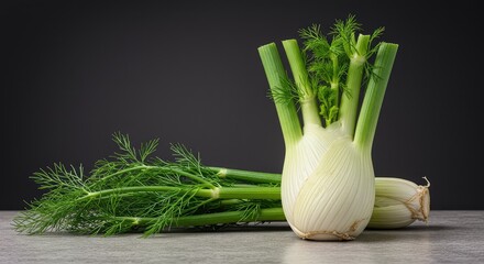Fresh, organic fennel bulb with delicate fronds, showing the white base and green tops. Essential ingredient for healthy and gourmet cooking ,produce ,vegetable ,light