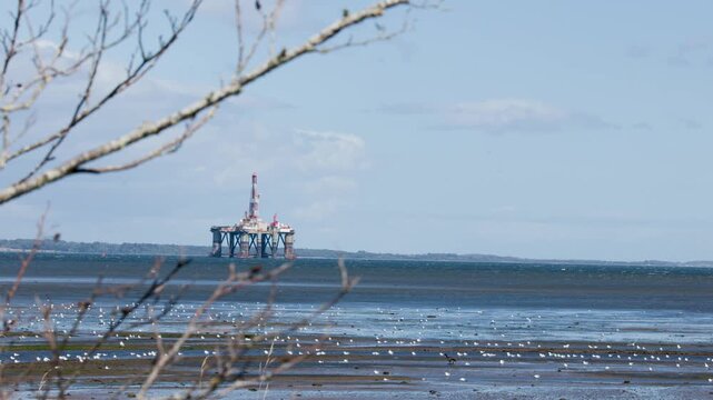 Offshore Oil Rig Viewed Across Cromarty Coastline at Low Tide