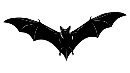 Black bat flying in the air with white background