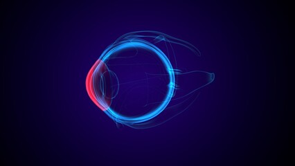 Eye anterior chamber part anatomy. 3d render