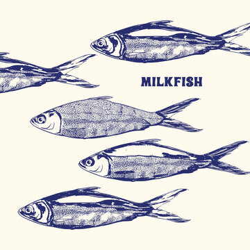 Vintage Milkfish Pattern Illustration