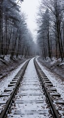 Fototapeta premium A snow-covered railway track winds through a forest of bare trees on a cloudy day, leading into the distance