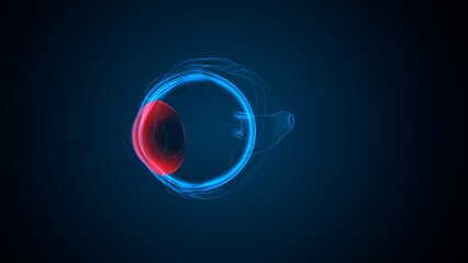 Eye anterior chamber part anatomy. 3d render