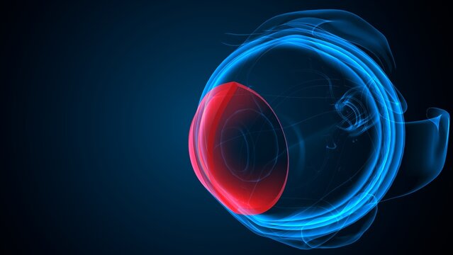 Eye anterior chamber part anatomy. 3d render