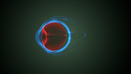 Eye optical disc anatomy. 3d render