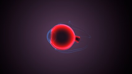 Eye retina anatomy. 3d illustrations