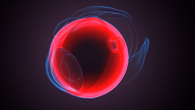 Eye retina anatomy. 3d illustrations