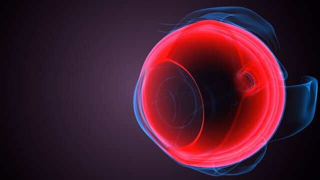 Eye retina anatomy. 3d illustrations