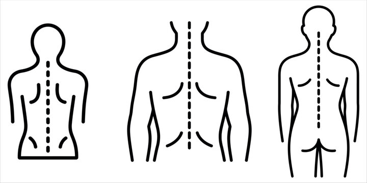 Normal Spine Anatomy Linear Vector Icon. Thin line illustration representing Ergonomics, Wellness, Physical Therapy, and Body Alignment.