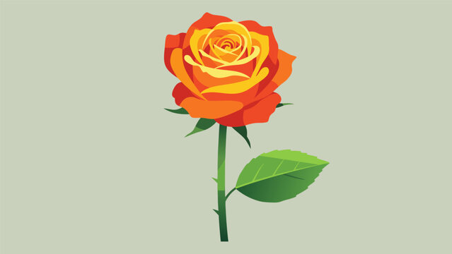A vibrant orange and yellow rose with a green stem and a single leaf, isolated on a light, plain background.