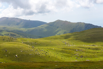 Obraz premium Tianshan Mountains in Kyrgyzstan