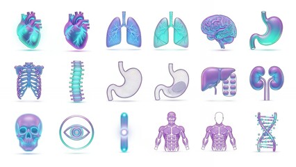 Stunning neon gradient human anatomy icons featuring heart brain lungs skeleton and DNA for futuristic medical design concepts