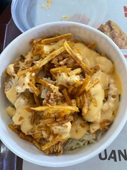 Delicious looking crunchy chicken and Rice serving 