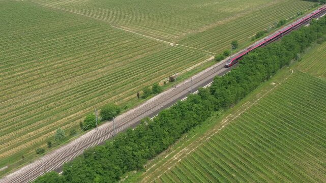 The red high-speed train moves swiftly between endless vineyards, captured in a stunning aerial view. A perfect harmony of speed and nature.