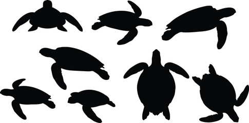 Fototapeta premium Turtle silhouette illustration vector in different angles