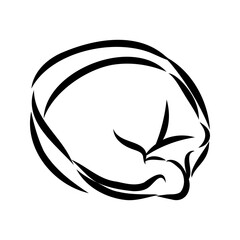 dumpling, vector sketch