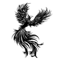 A highly detailed black line-art illustration of a phoenix rising with wide, powerful wings and flowing feathers. The design symbolizes rebirth, strength, freedom, and transformation. 