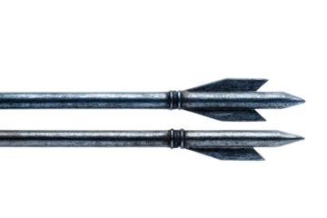 equal opposing arrows isolated on transparent background