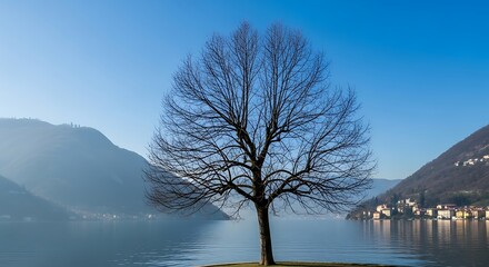 A solitary leafless tree stands proud before a vast lake and distant mountains under a cloudless, vibrant blue sky