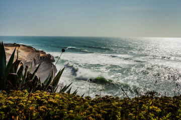 Scenic ocean waves crash against a steep rocky coastline, with coastal vegetation and large agave-like succulents in the foreground under a wild sea breeze.