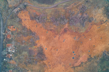 Aerial top down view of orange swamp reeds with shell craters near destroyed village ruins. War zone ecocide and civilian destruction background.