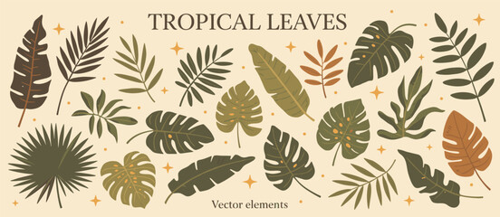Collection of Stylized Tropical Leaves in Earthy Tones with Star Accents foliage botanical