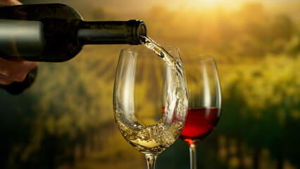 Naklejka premium Close-up of white wine pouring into glass , sunny vineyard in background