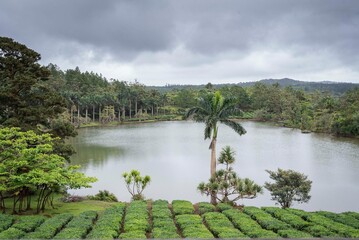 Domaine de Bois Ch&eacute;ri Ile Maurice usine de th&eacute;