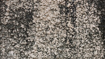 Rough beige stucco wall texture close-up. Detailed with visible sand grains and plaster, with black dirt stains. Suitable for natural, raw, or rustic backgrounds.