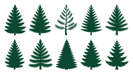Obraz premium Various green fir tree silhouettes isolated on white background Vector, illustration