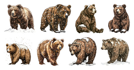PNG Illustrated bears in snowy setting, element set on transparent background