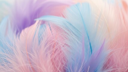 Obraz premium Pastel feathers background with copy space abstract pattern light purple pink and blue for gentle feminine mood shot in macro 