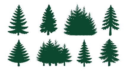 Obraz premium Evergreen tree silhouettes collection Vector