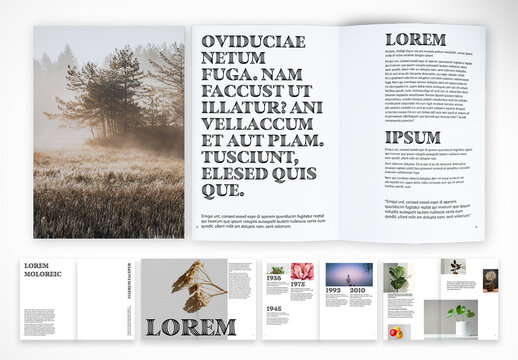 Clean Aesthetic Editorial Template