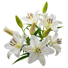 Obraz premium Elegant bunch of White Lilies with green leaves on transparent background