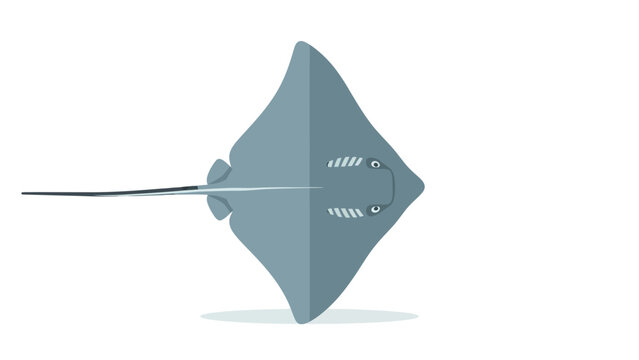 Flat illustration of a bluegray stingray viewed from above facing right