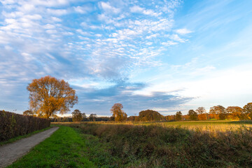 Nachmittag im Herbst im Oldenburger Münsterland