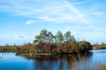 Herbsanfang im Hochmoor.