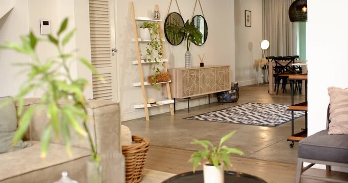 Camera is moving right, shifting focus from blurred plant to wooden console, revealing dining