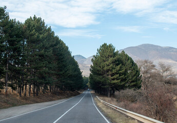 flat road on the way to the mountains