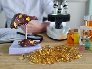 Model of liver with capsules and laboratory equipment in research setting during a study on nutrition and health concept