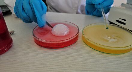 A scientist conducts an experiment with Petri dishes containing colored solutions of dry ice. Experiments with dry ice in lab concept