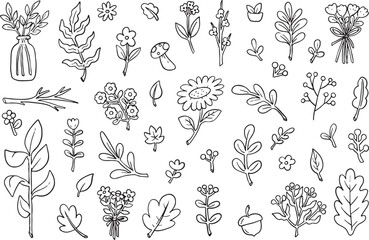 Mega collection of hand drawn outline vector set featuring diverse botanical elements: leaves (oak, maple), flowers, berries, acorn, and herbs. Perfect doodle collection for coloring books, greeting.