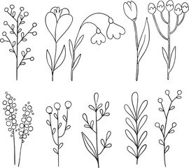 Set of 10 stylized, hand-drawn outline spring flowers, berries, and modern botanical stems. Features abstract tulips and bellflowers in a folk art style. Ideal for minimalist logos, textile prints.