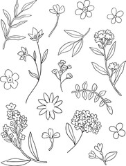 Ultimate vector bundle: 50+ hand-drawn botanical line art elements, including varied flowers, stems, leaves, and abstract sprigs. Highly versatile for comprehensive branding, wedding suites, pattern.