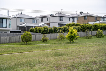 Suburban green buffer zone with grass and young trees separating residential houses from open public land in Australia. Concept of urban green infrastructure, ecological buffer strip, urban fringe
