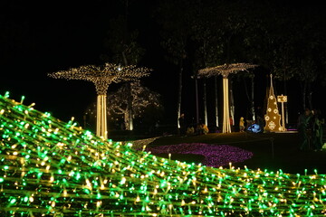 christmas tree with lights