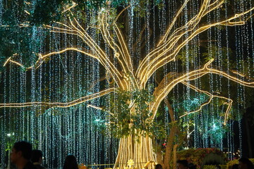fountain in the park