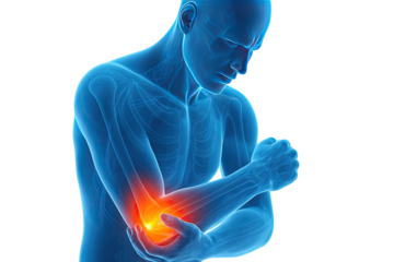 Anatomical illustration of human figure holding inflamed elbow with highlighted joint pain in detailed transparent body view isolated on white background