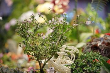 flowers in the garden